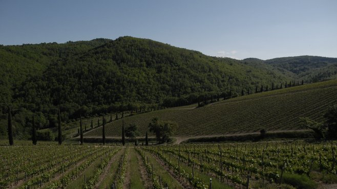 Brancaia, chianti, maremma, wines, ilatraia, il blu, toscana