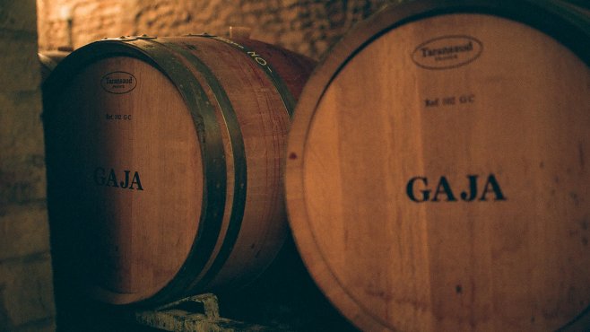 Gaja, wines, Piemonte, Barbaresco