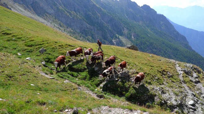 jotaz, fontina, valle d aosta